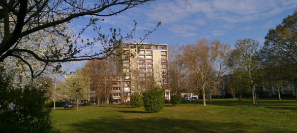 Frühling in der HICOG-Siedlung