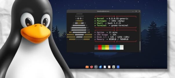 Pinguin vor Monitor